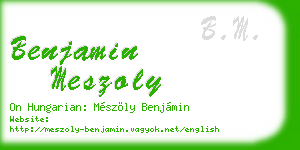 benjamin meszoly business card