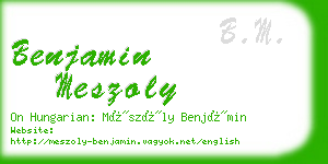 benjamin meszoly business card